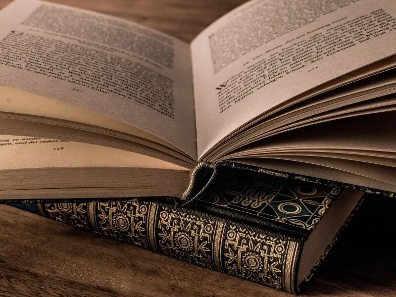 Zdjęcie Co to jest akcja w literaturze i dlaczego ma kluczowe znaczenie?