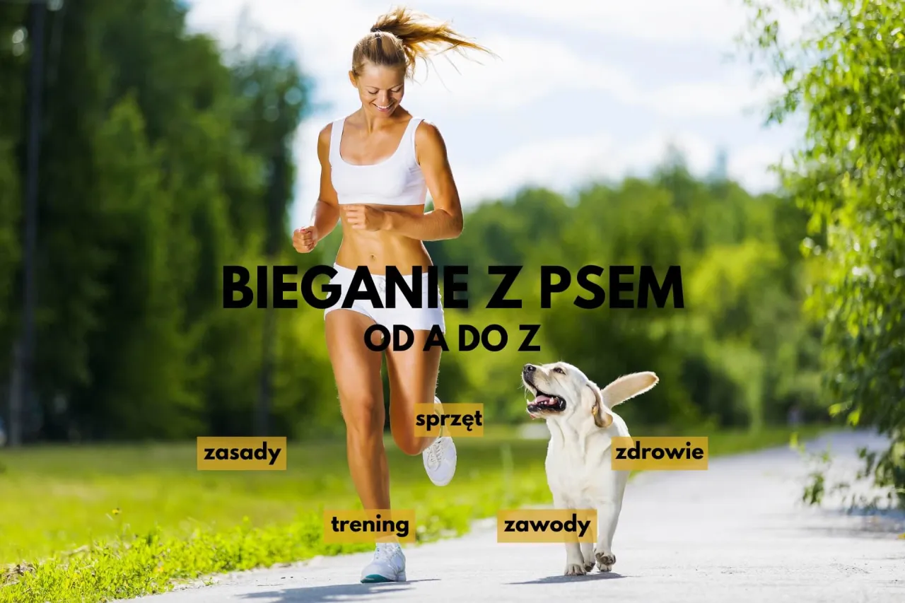 Zdjęcie Jak zacząć biegać z psem: uniknij błędów i ciesz się wspólnym treningiem