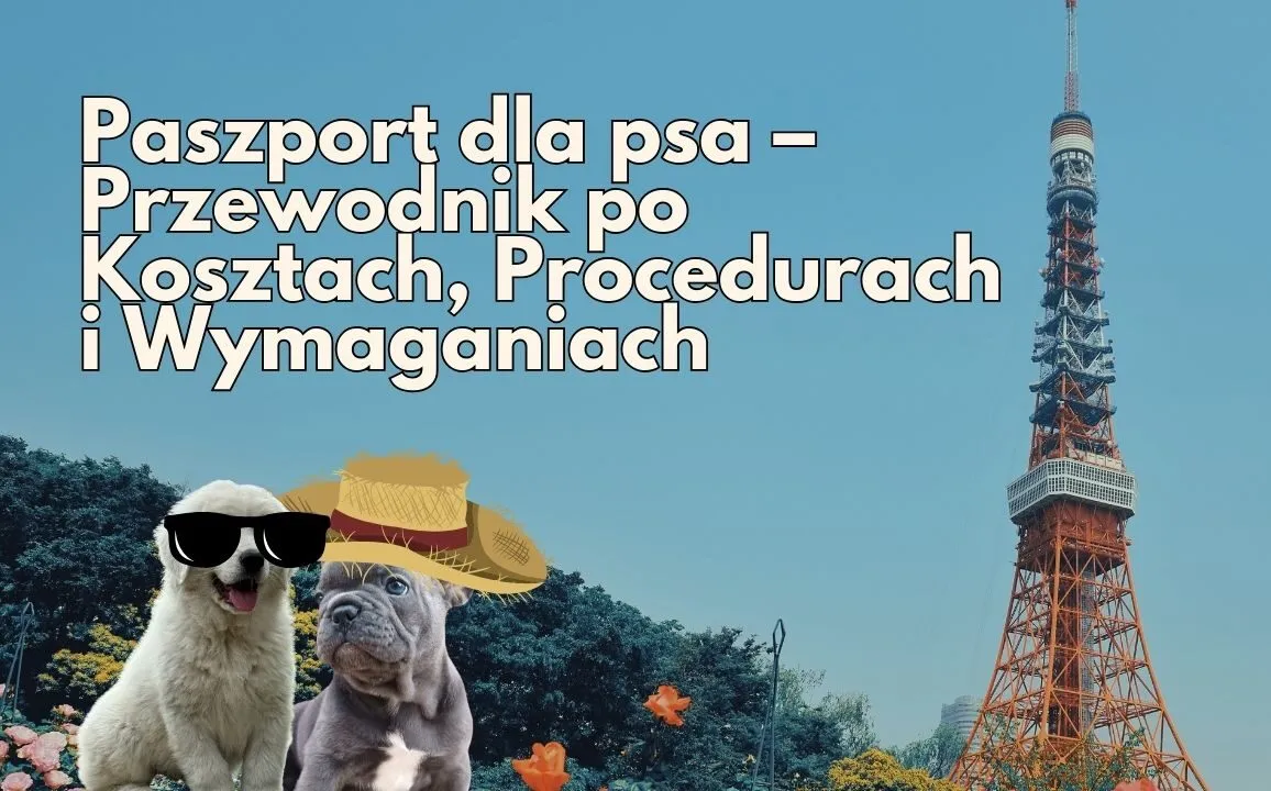 Zdjęcie Jak wygląda paszport dla psa i co powinieneś o nim wiedzieć