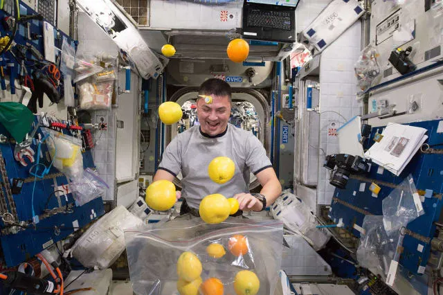 Zdjęcie Fascynujący dzień z życia astronautów: co robią w kosmosie na co dzień