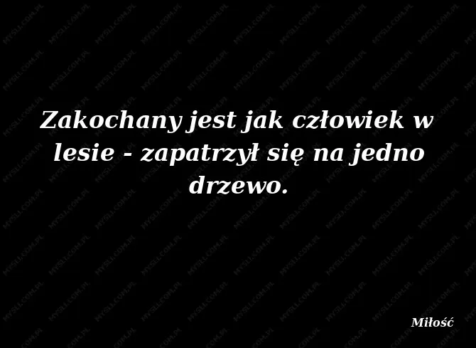Zdjęcie Poznaj najpiękniejsze krótkie cytaty o lecie i wakacyjnych chwilach