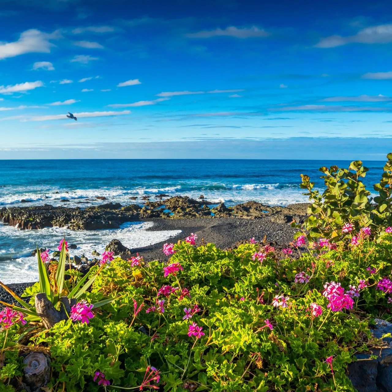 Zdjęcie Paquete vacaciones Tenerife: ahorra y disfruta de tu viaje soñado