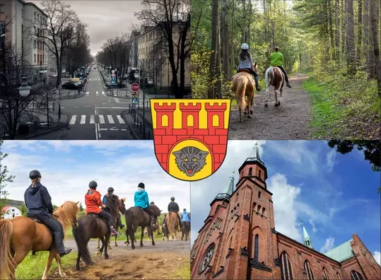 Zdjęcie Stadnina koni Pruszków - najlepsze stajnie i ich oferty w regionie
