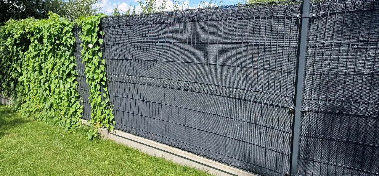Zdjęcie Skuteczne sposoby na zasłonięcie płotu z siatki dla większej prywatności