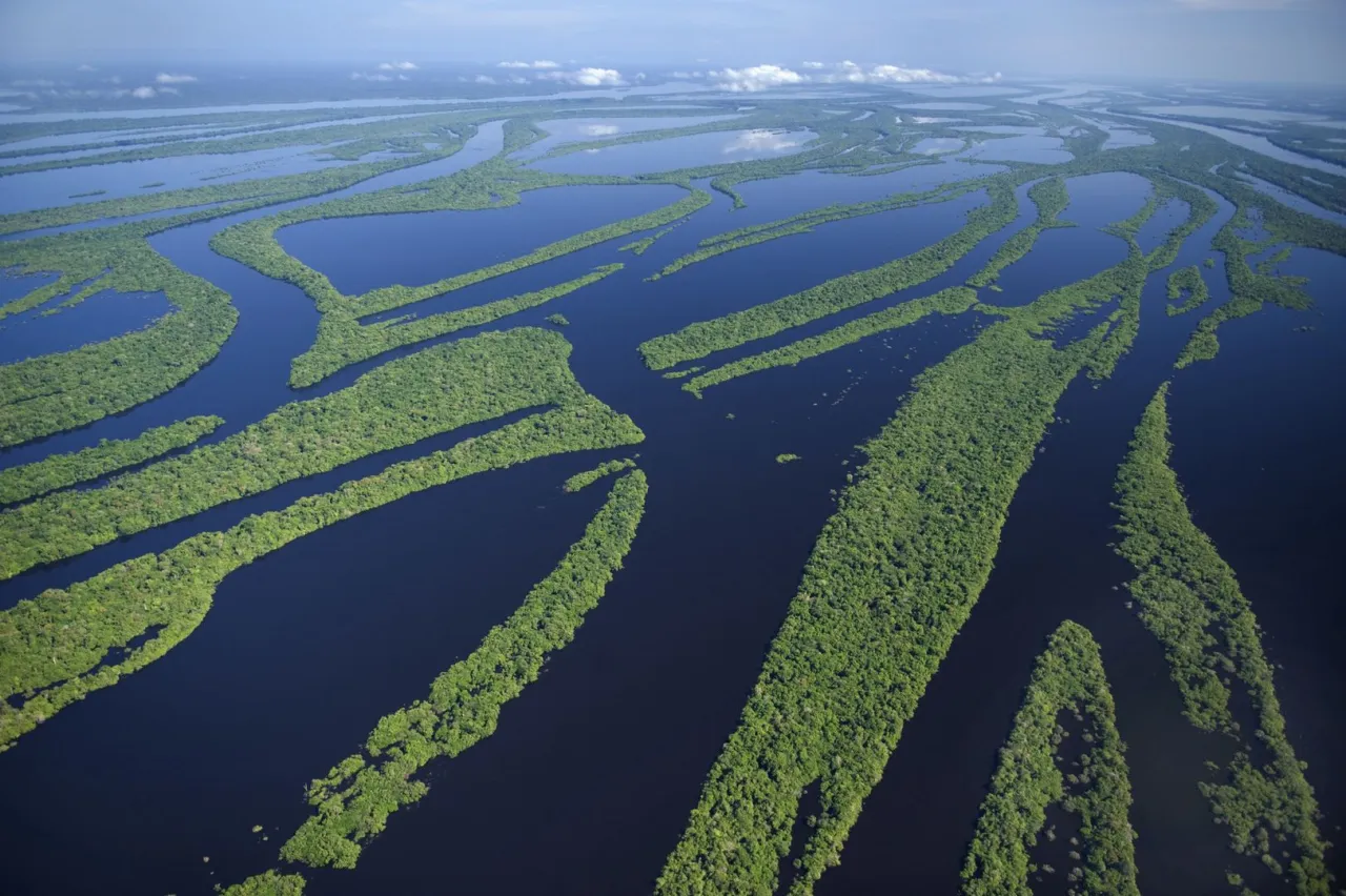 Zdjęcie Kto odkrył źródła amazonki? Zaskakujące fakty o tej podróży