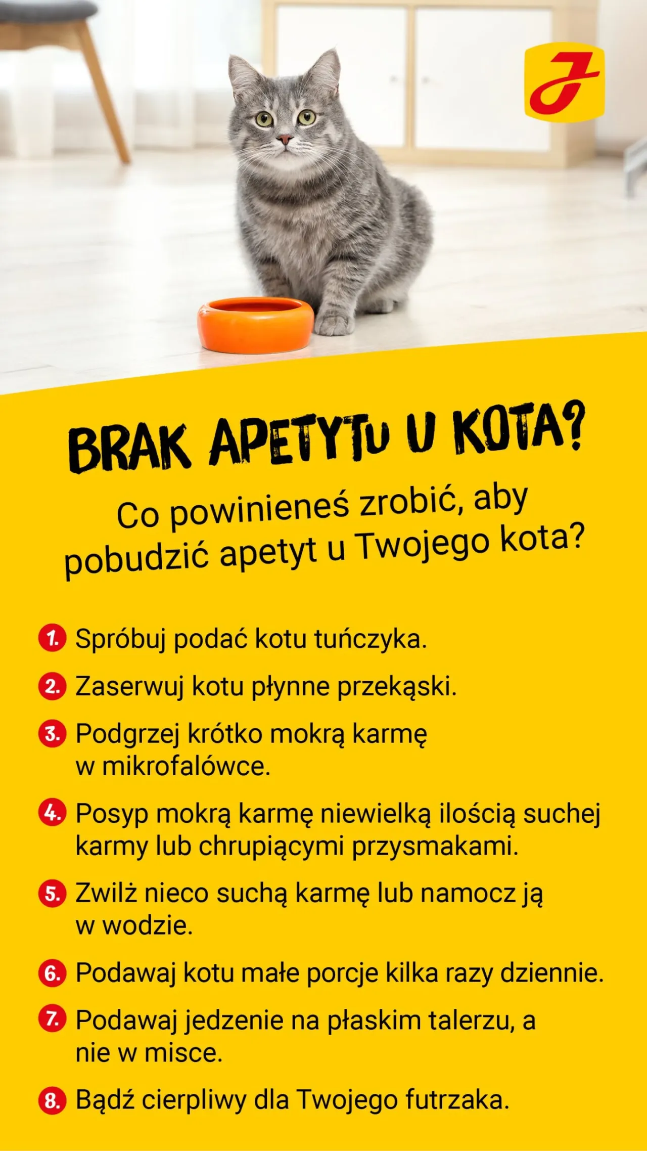 Zdjęcie Rotawirus u dziecka: jak długo może nie jeść? Ważne porady