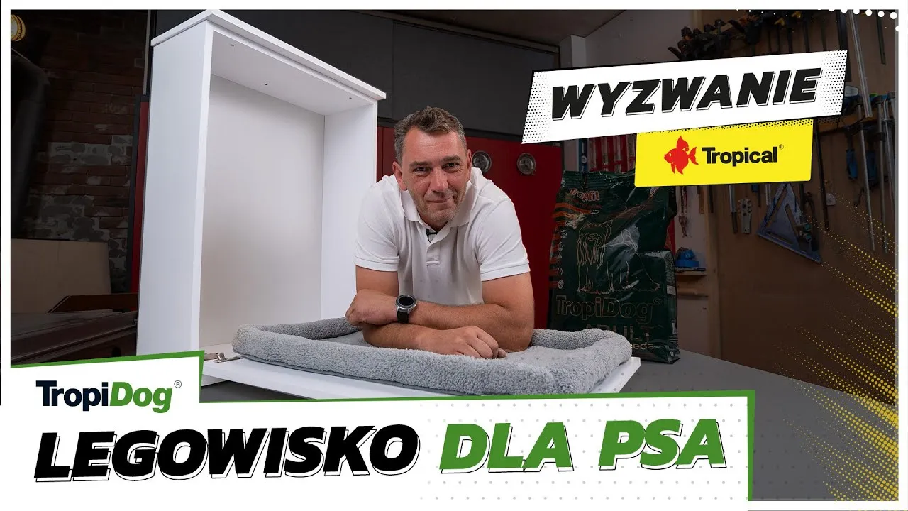 Zdjęcie Jak zrobić legowisko dla psa z koca - proste i tanie rozwiązanie
