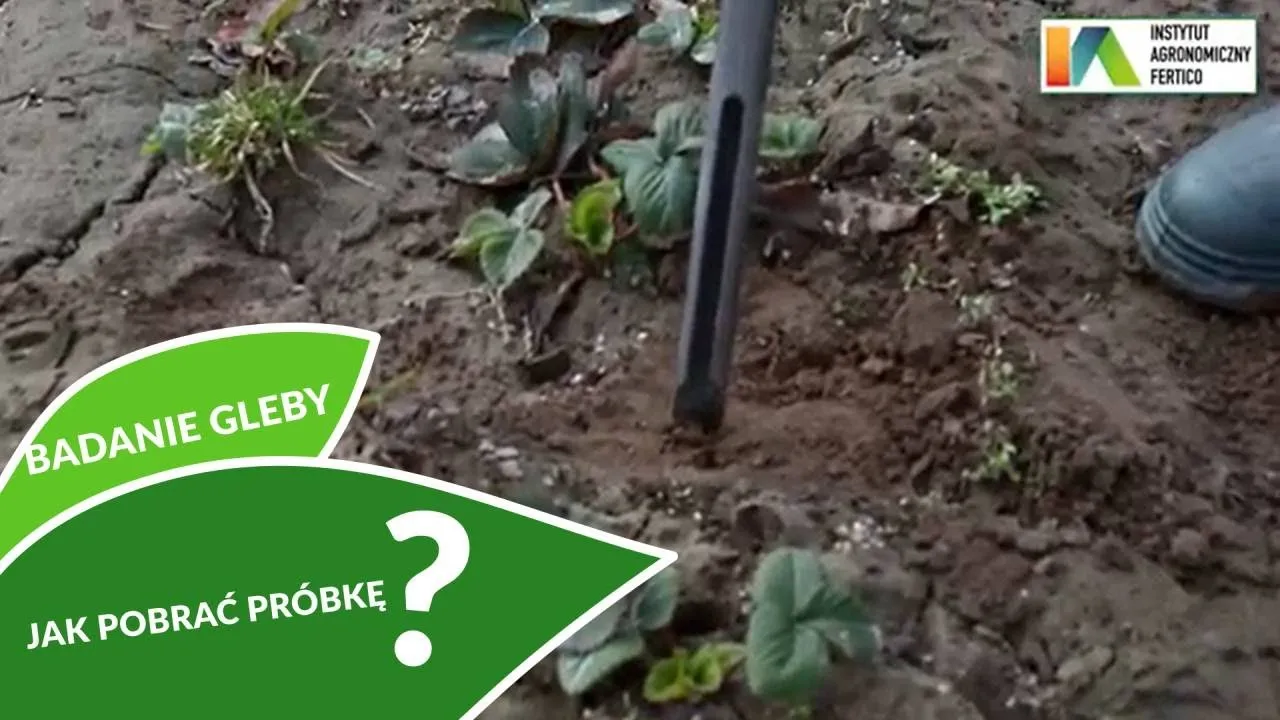 Zdjęcie Jak pobierać próbki gleby do badania, aby uniknąć najczęstszych błędów