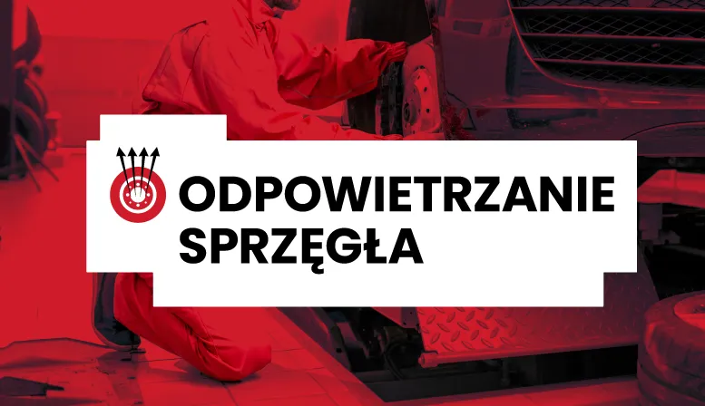 Zdjęcie Ile kosztuje wymiana sprzęgła Peugeot 206? Ceny i porady serwisów 2025