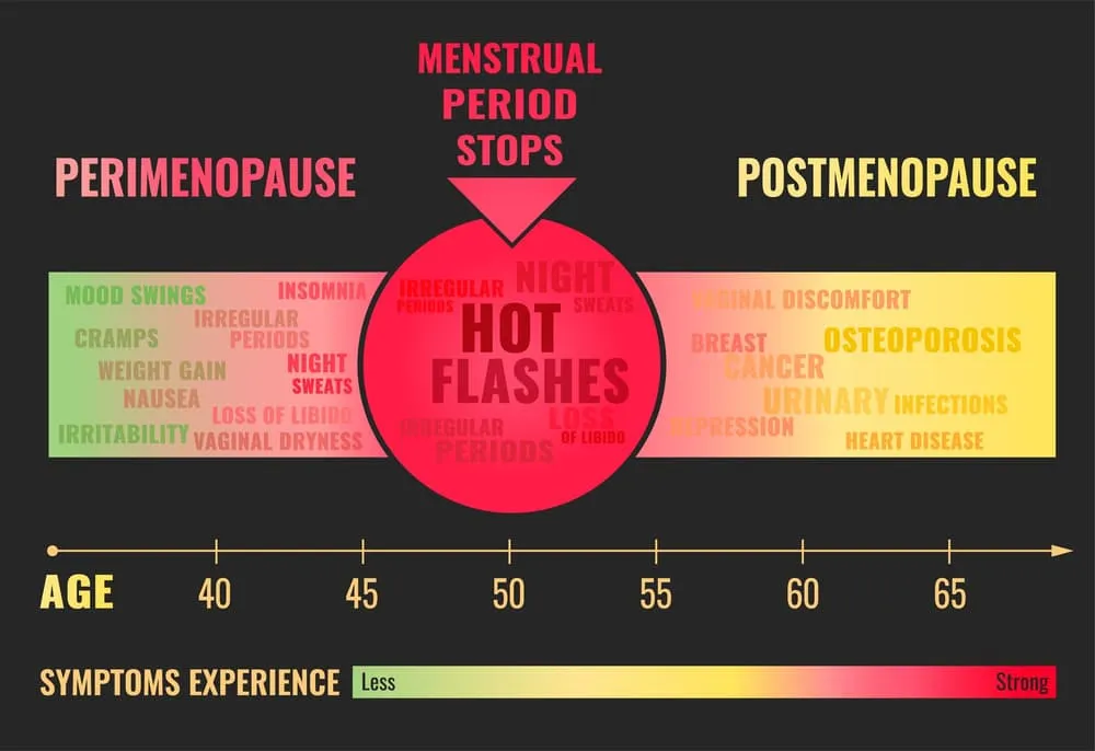Zdjęcie Menopauza kiedy koniec - jak poznać, że to już czas na zmiany