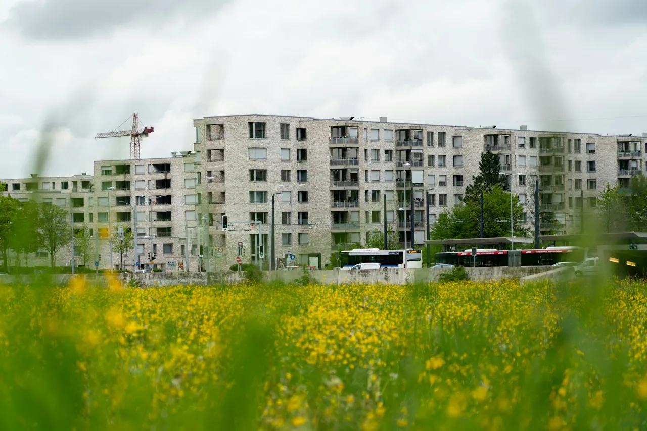 Zdjęcie Ile zarabia deweloper? Sprawdź, jak wysokie są zarobki w branży