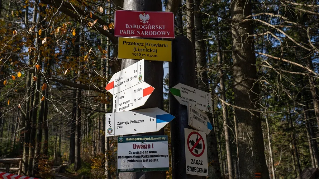 Zdjęcie Nocleg na Babiej Górze – najlepsze miejsca blisko szlaków turystycznych