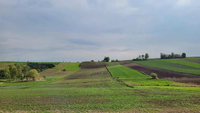 Zdjęcie Miechów atrakcje: odkryj ukryte skarby i nieznane miejsca