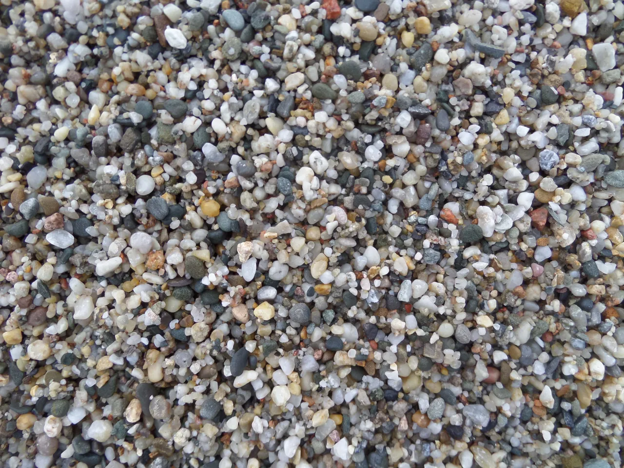 Zdjęcie Ile kosztuje tona żwiru płukanego? Ceny, które zaskoczą każdego