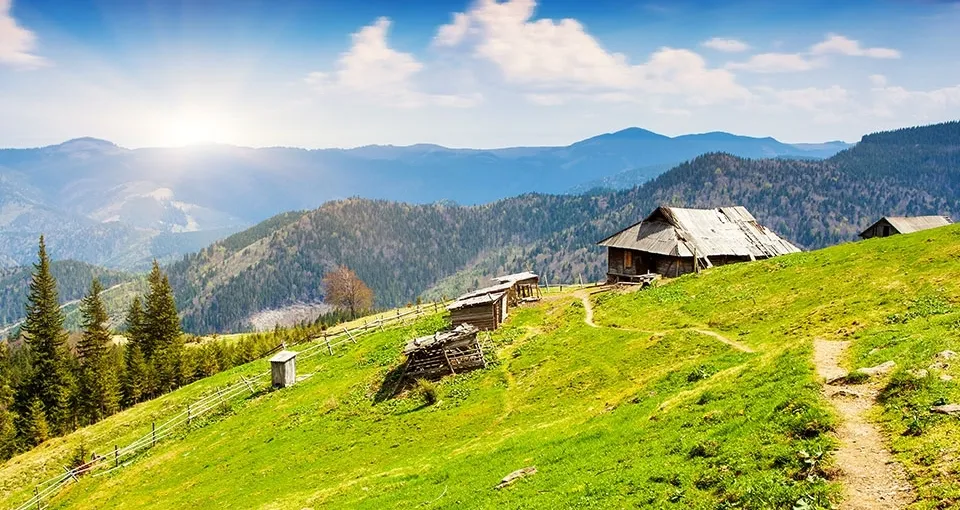 Zdjęcie Co z agroturystyka? Odkryj korzyści i wyjątkowe doświadczenia w naturze