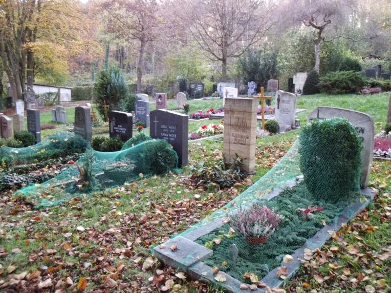 Zdjęcie Jak wyglądają cmentarze w Niemczech - ich niezwykłe cechy i historia