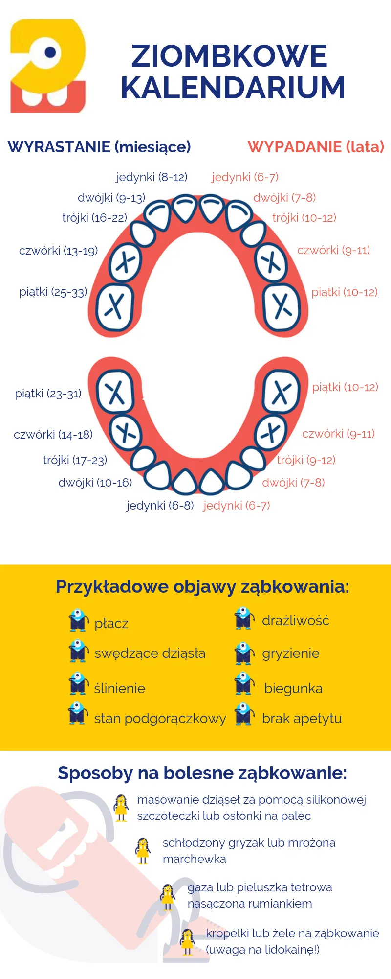 Zdjęcie Ząbkowanie u niemowlaka: Objawy, które musisz znać, zanim się przestraszysz