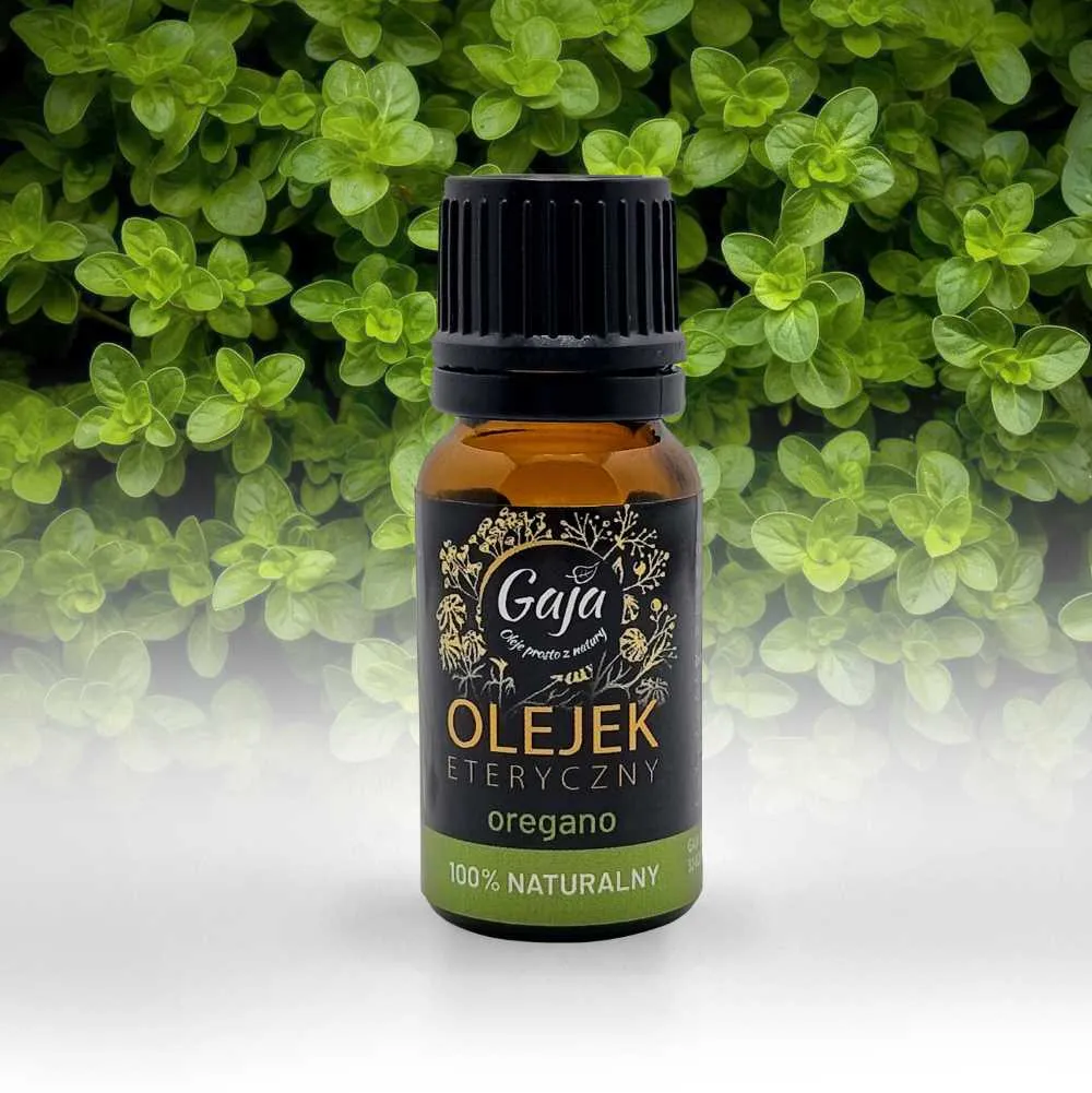Zdjęcie Olejek z oregano na co? Odkryj jego niezwykłe właściwości zdrowotne