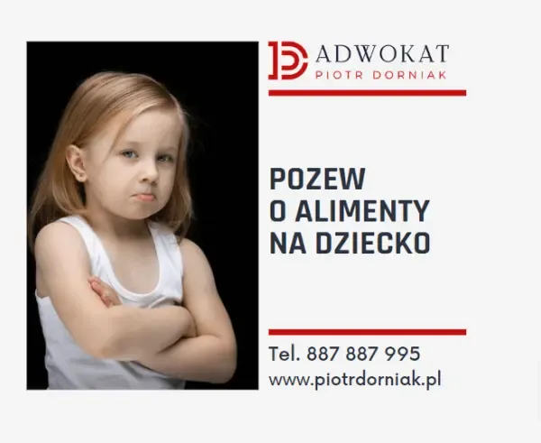 Zdjęcie Jak skutecznie przedstawić argumenty na rozprawie o alimenty