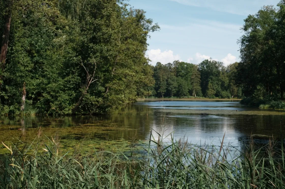 Zdjęcie Nad jaką rzeką leży Poznań? Odkryj tajemnice Warty i Cybiny