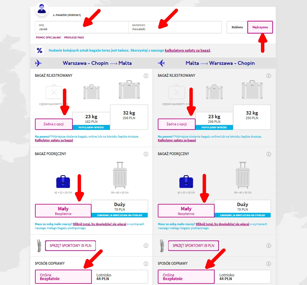 Zdjęcie Jak zamówić bilet w Wizz Air - proste kroki, aby uniknąć problemów