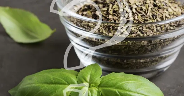 Zdjęcie Czym zastąpić suszone oregano? Sprawdzone zamienniki, które zaskoczą