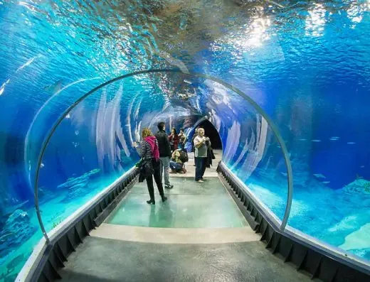 Zdjęcie Godziny otwarcia oceanarium w Kołobrzegu – nie przegap wizyty!