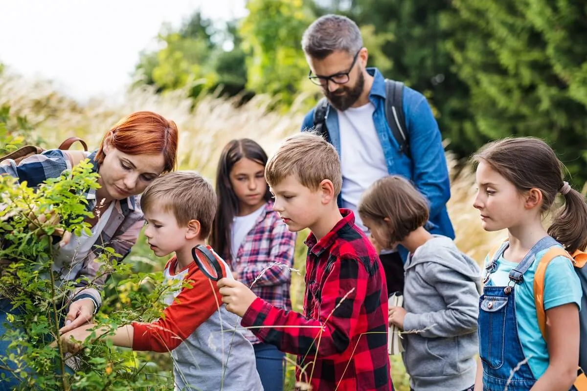 Zdjęcie Za co odpowiada wychowawca na kolonii? Kluczowe obowiązki i zadania