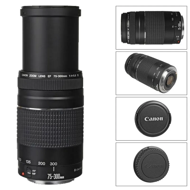 Zdjęcie Obiektyw 300mm - jakie przybliżenie na matrycy crop i full-frame?