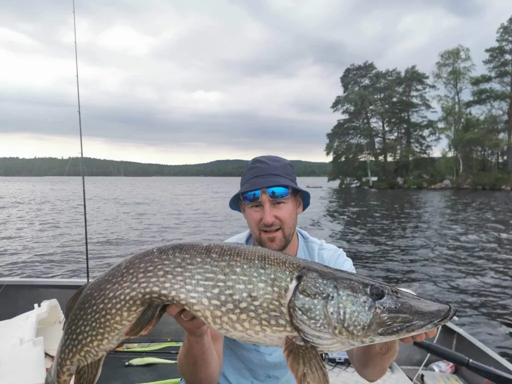 Zdjęcie Kiedy sezon na szczupaka? Sprawdź daty i ważne przepisy