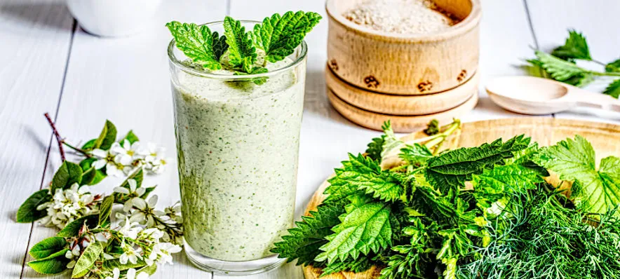 Zdjęcie Jak długo można pić sok z pokrzywy, aby uniknąć skutków ubocznych?