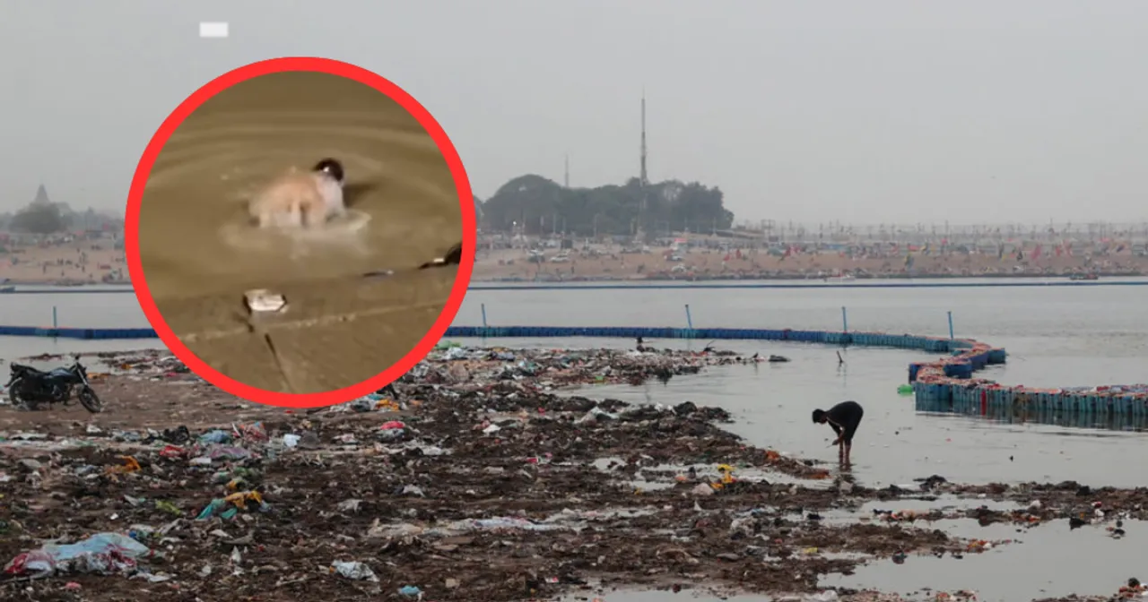 Zdjęcie Temat rzeka co to znaczy? Poznaj jego znaczenie i konteksty