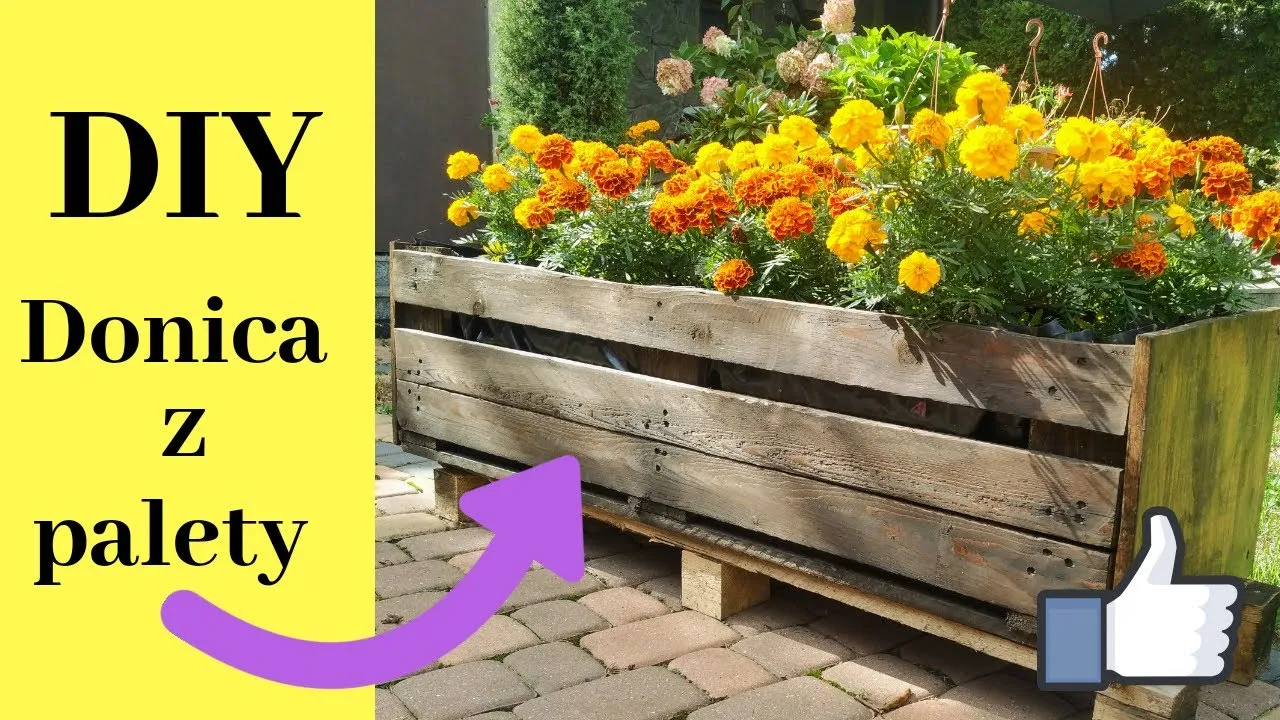Zdjęcie Niesamowite DIY donica: Kreatywne pomysły, które zachwycą każdego ogrodnika