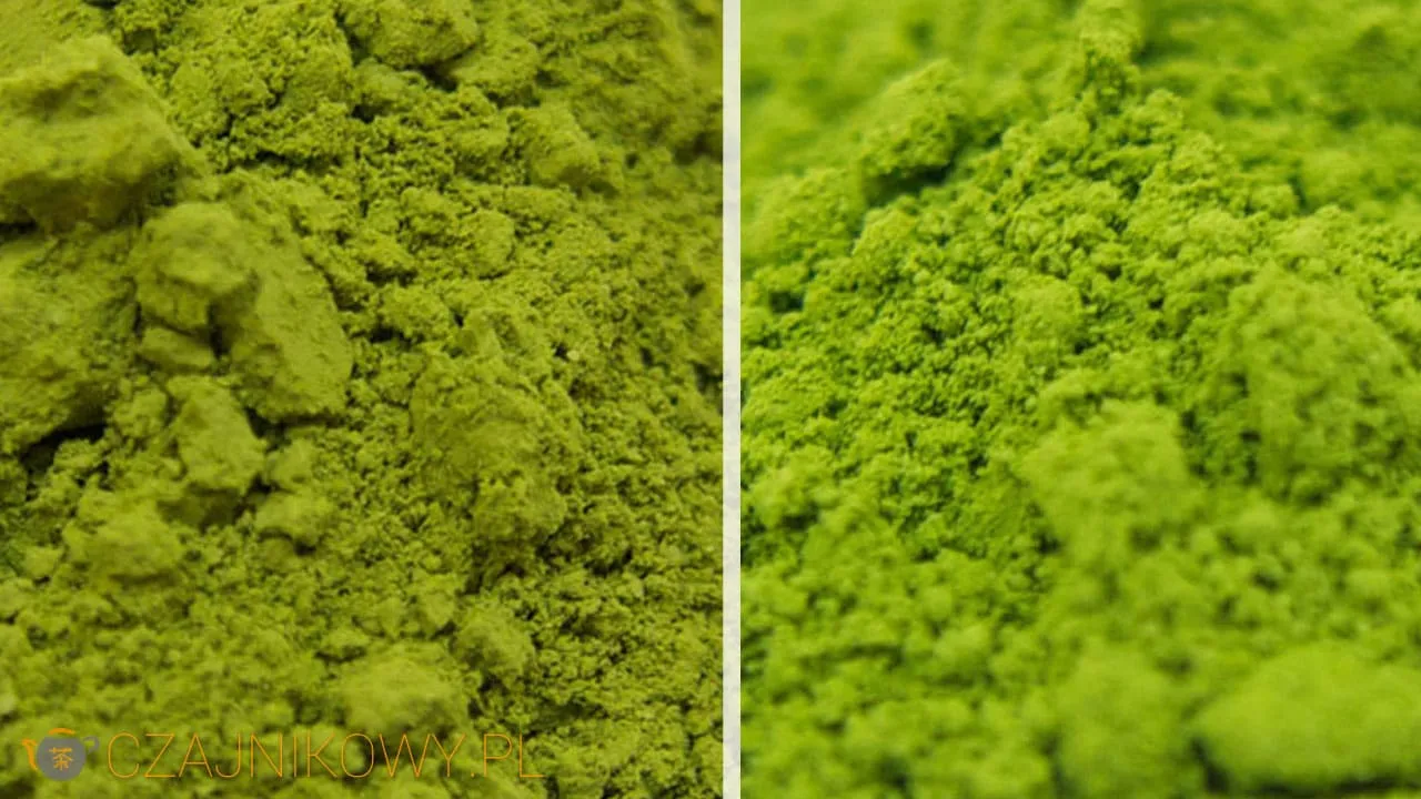 Zdjęcie Najlepsza matcha: jak wybrać najwyższej jakości herbatę?