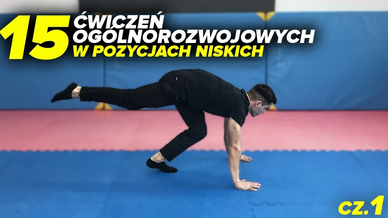 Zdjęcie Jakie są ćwiczenia gimnastyczne i jak je wykonywać bez kontuzji