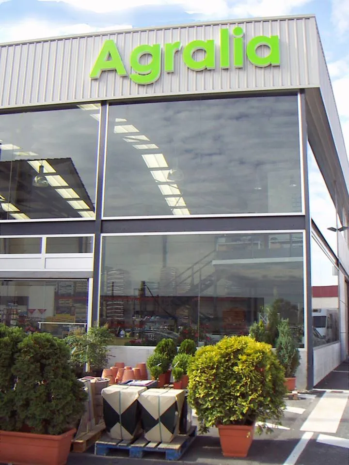 Zdjęcie Buganvilla: cuándo plantar para asegurar un crecimiento exitoso