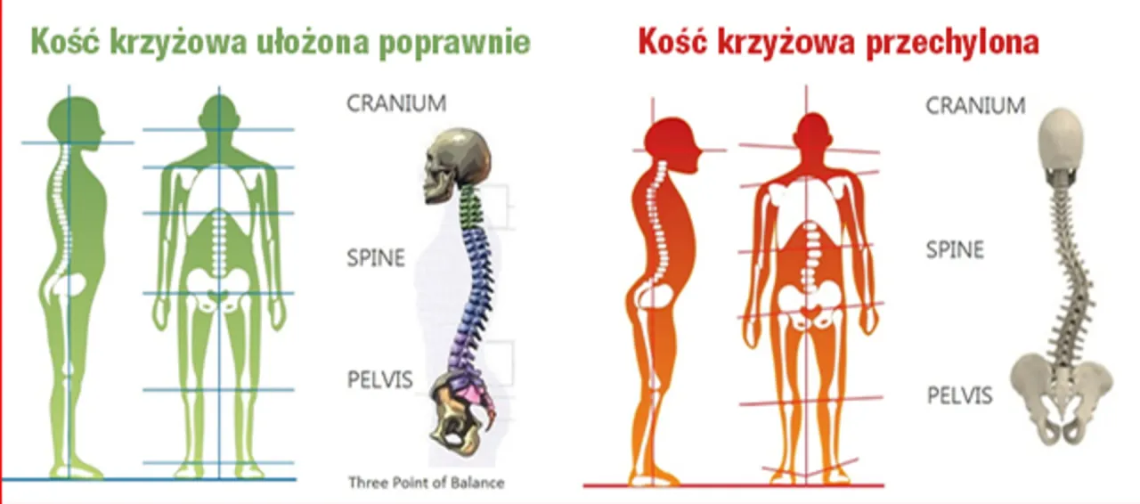 Zdjęcie Czy rehabilitacja boli? Odkryj, co jest normalne i kiedy się martwić