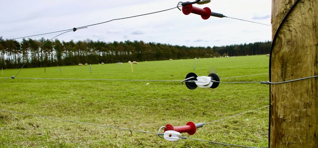 Zdjęcie Jak zrobić uziemienie do pastucha, aby uniknąć problemów z działaniem