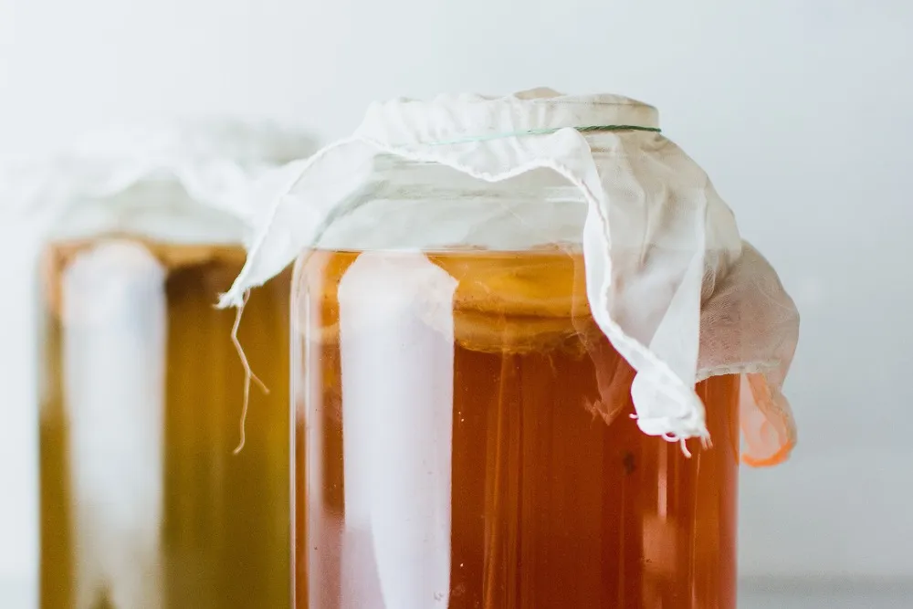 Zdjęcie Jak hodować kombuchę w domu - proste kroki do udanego SCOBY
