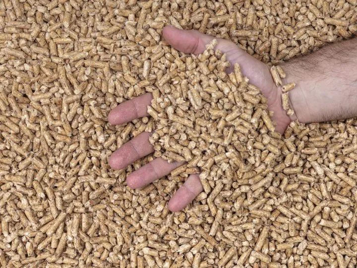 Zdjęcie Co to znaczy pellet? Zrozumienie paliwa ekologicznego i jego zastosowań