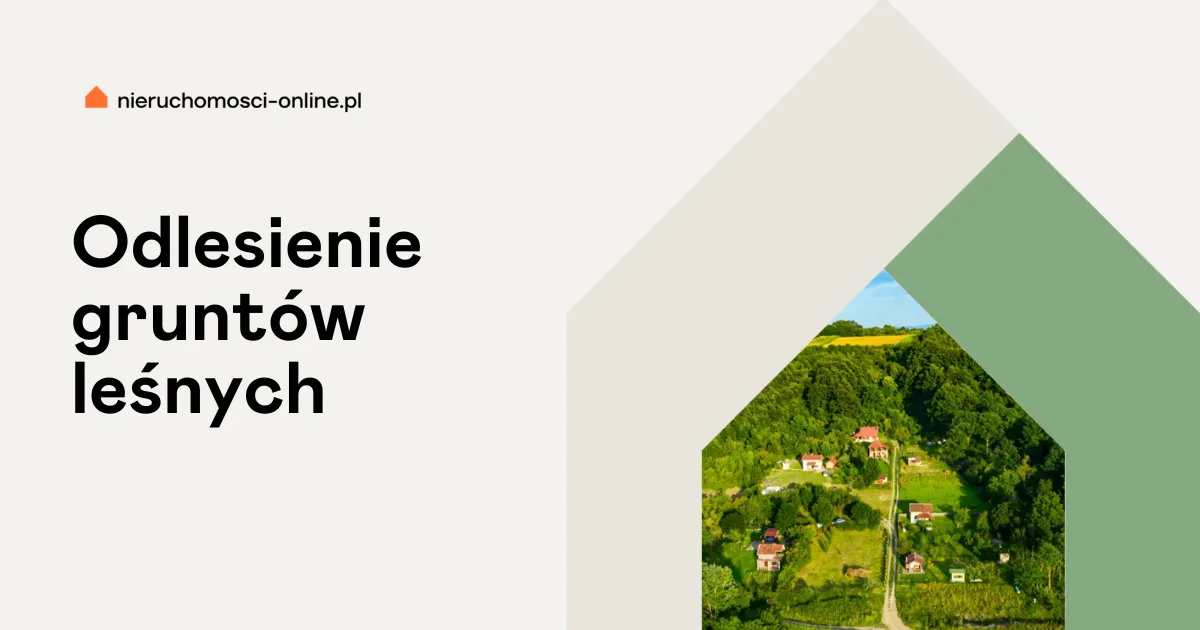 Zdjęcie Ile czasu trwa odlesienie działki? Sprawdź, co wpływa na czas procesu