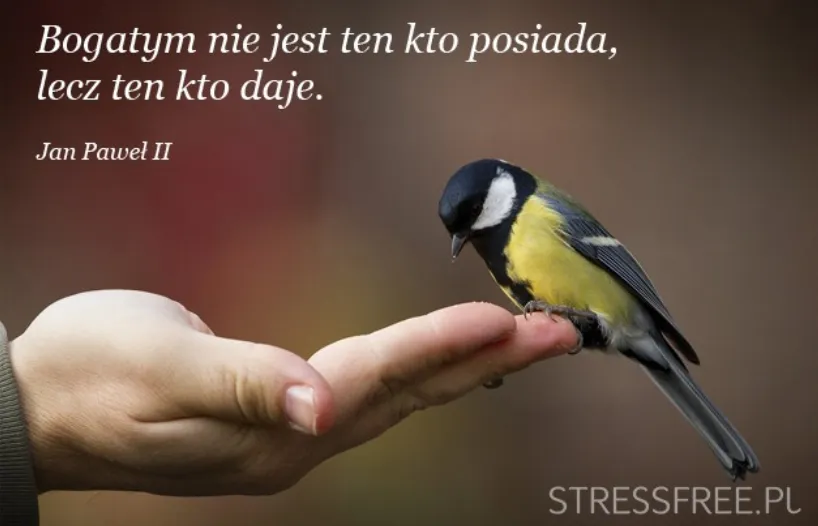 Zdjęcie Złote myśli krótkie: 20 inspirujących cytatów na każdy dzień