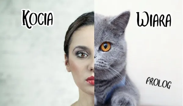 Zdjęcie Kocia wiara – co to oznacza i jakie ma negatywne konotacje?