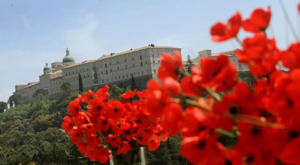 Zdjęcie Czerwone Maki na Monte Cassino - Historia Piosenki z II Wojny Światowej