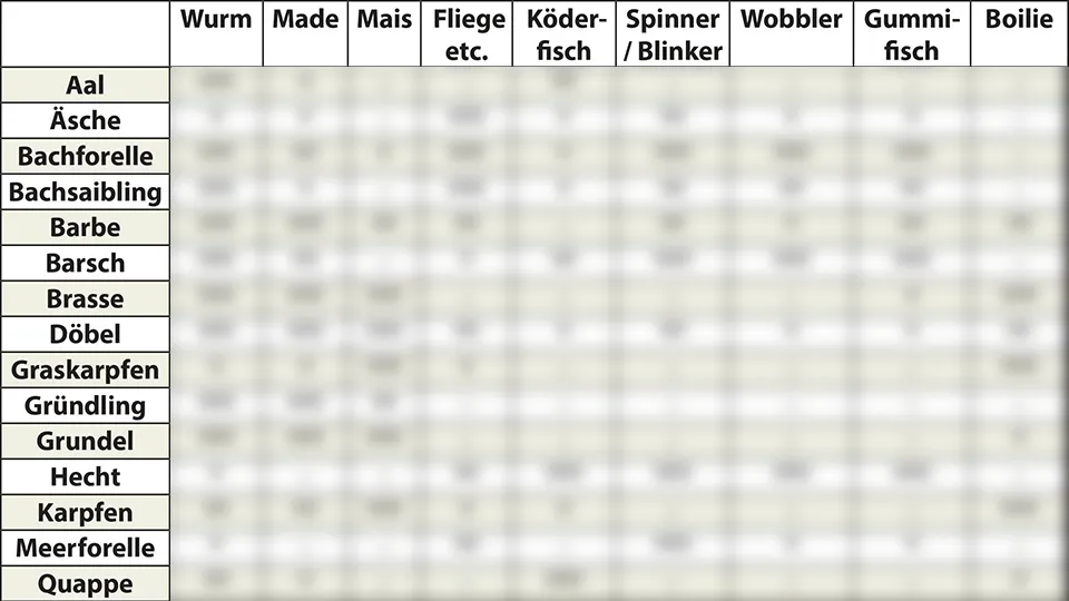 Zdjęcie Welcher Köder für welchen Fisch: Die besten Tipps für deinen Fang