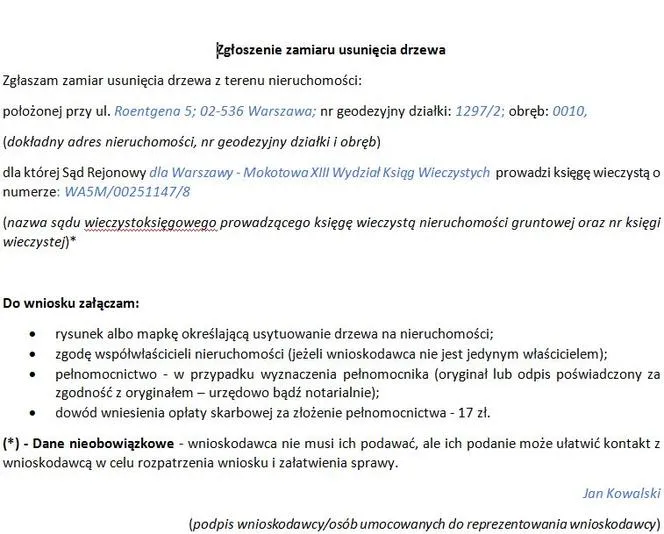 Zdjęcie Jak zgłosić wycinkę drzew i uniknąć problemów z prawem