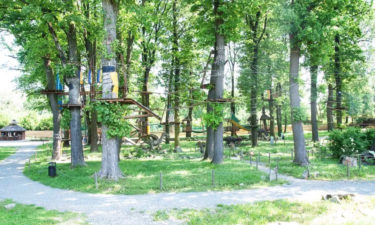 Zdjęcie Nowy park linowy w Rybniku - kiedy otwarcie i co oferuje?