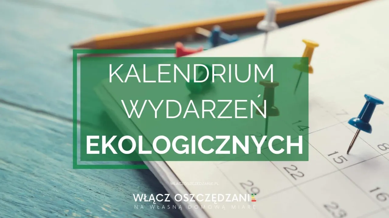 Zdjęcie Murowanie z drewna: tajniki ekologicznej techniki budowlanej