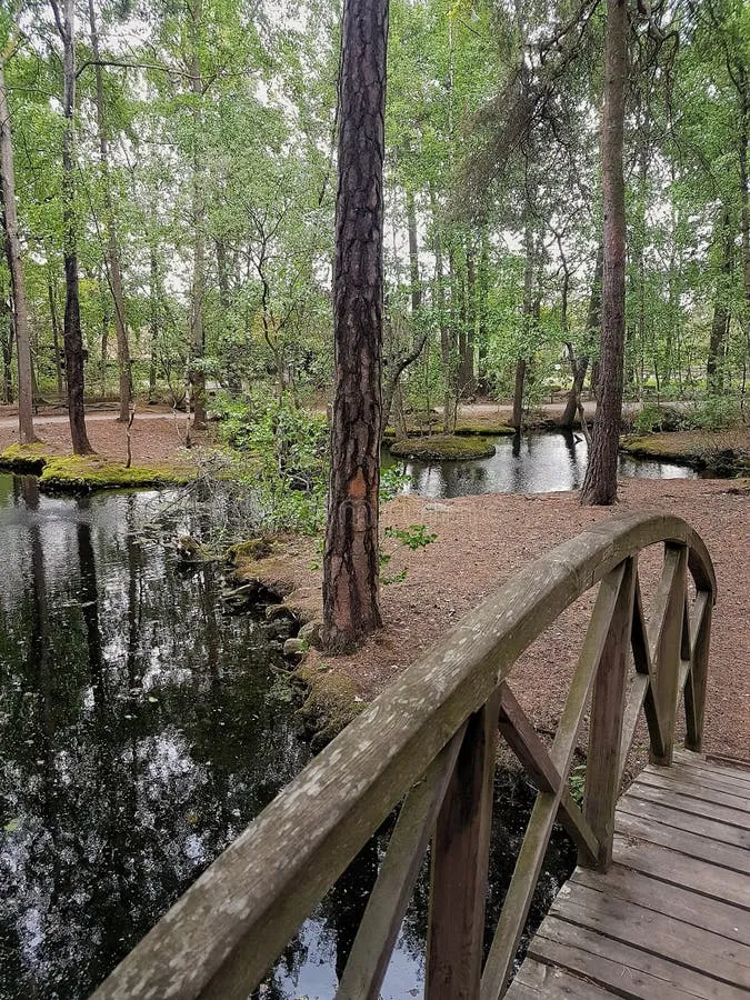 Zdjęcie Skansen Forest - idealne miejsce na wypoczynek blisko Krakowa