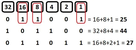 Zdjęcie Co to jest system binarny? Wyjaśnienie i zastosowanie w informatyce